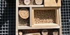 Insektenhotel auf dem Campus. Foto: Petra Faldum