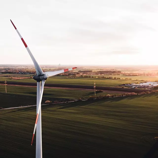 Windräder in Landschaft