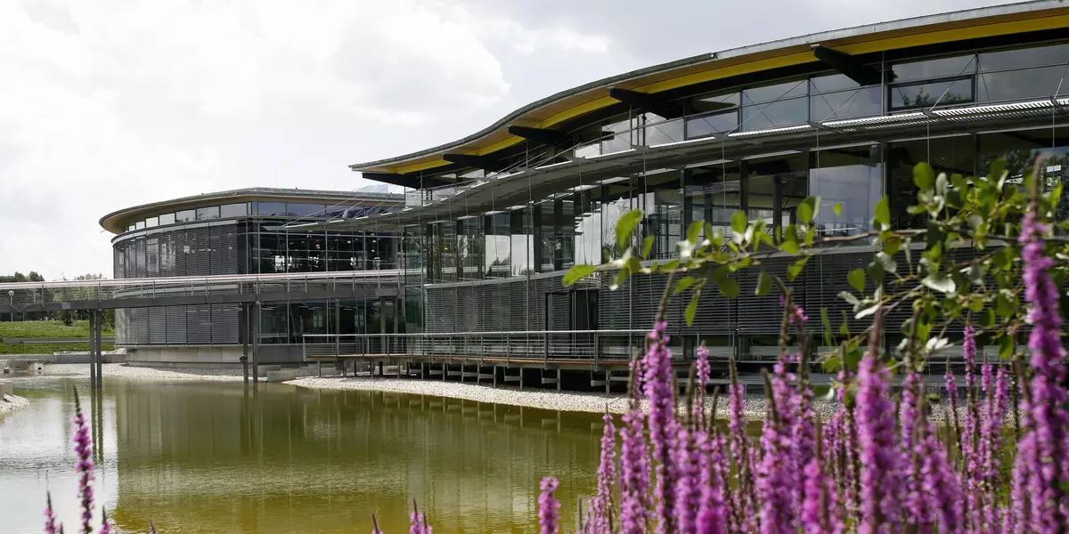 Pinke Blumen am See der OTH Regensburg