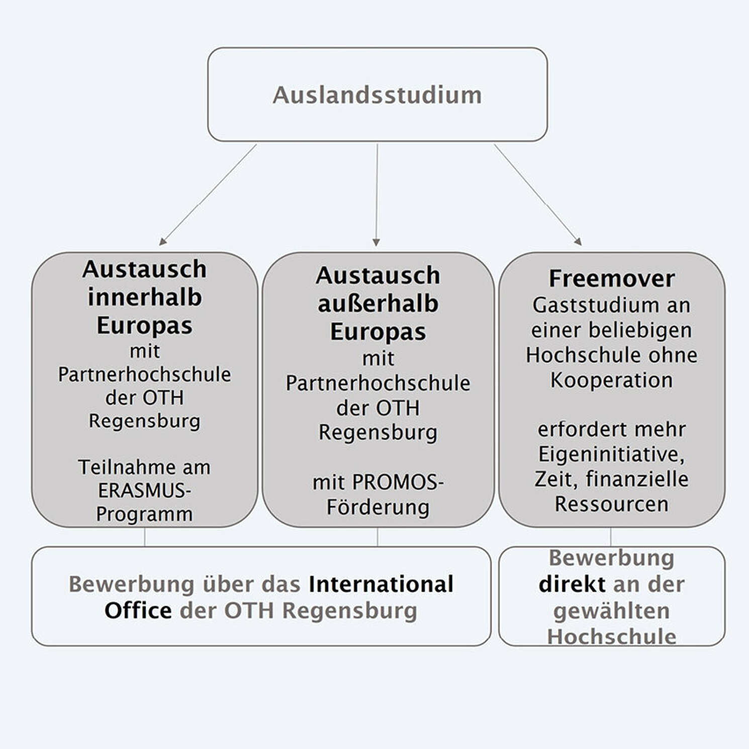 Übersicht Möglichkeiten Auslandsstudium