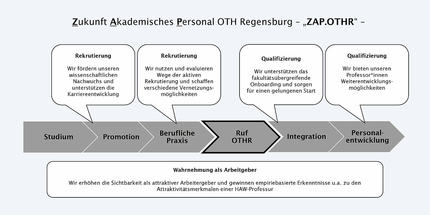 Grafik zur Darstellung der geplanten Maßnahmen im Rahmen des Projektes ZAP.OTHR, die sich am Karriereweg zur Professur orientieren. 