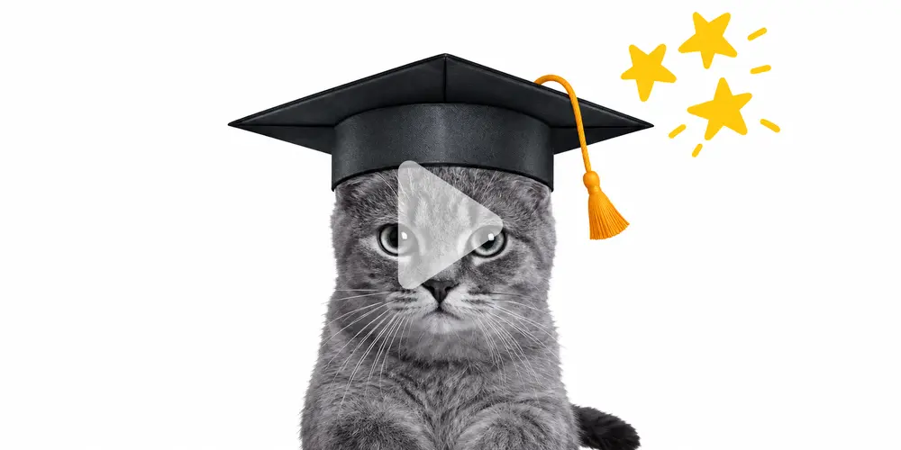 Katze mit Akademiker Hut