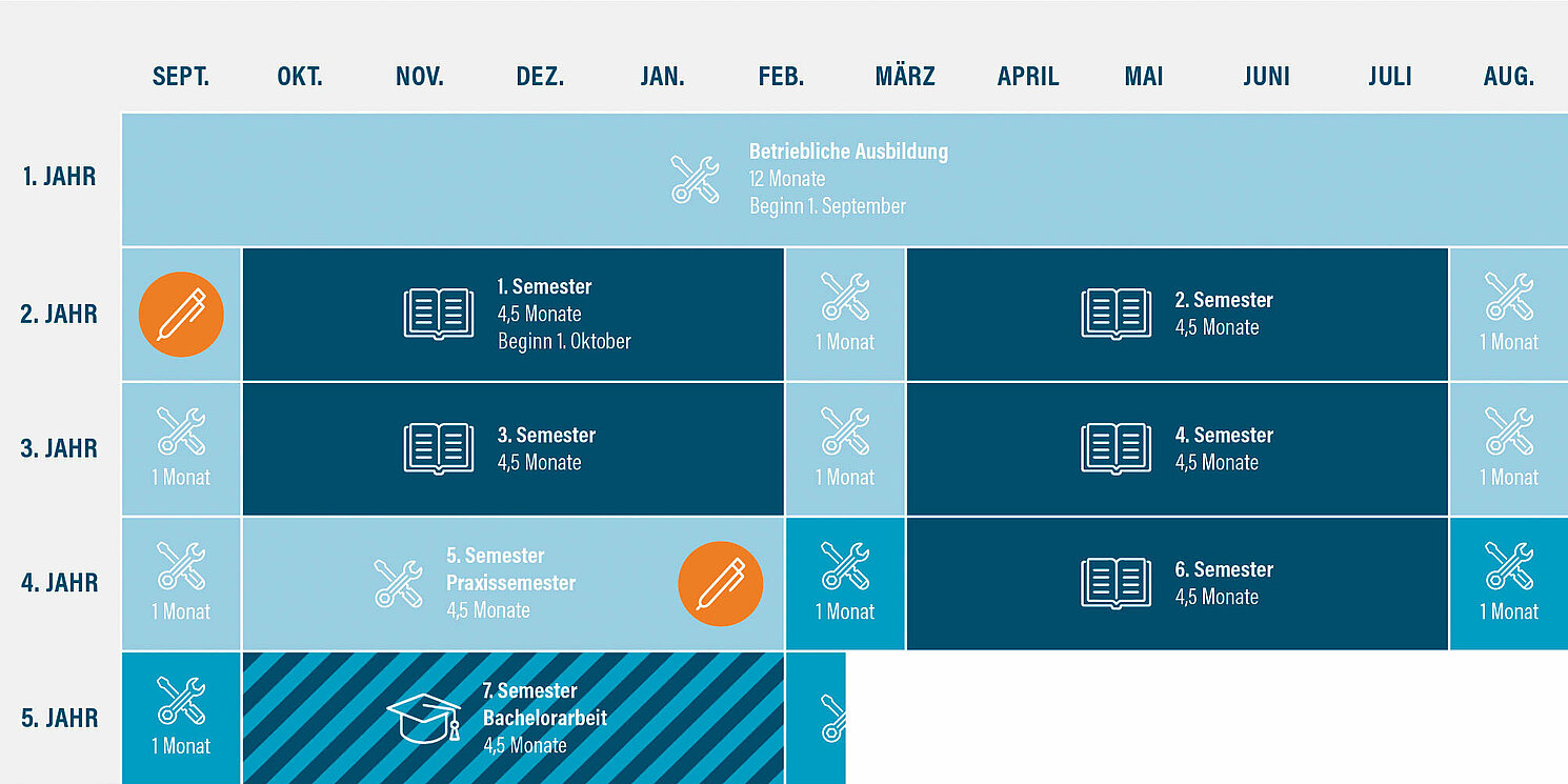 course of study: academic study combined with vocational training (Bachelor) - graphic: hochschule dual