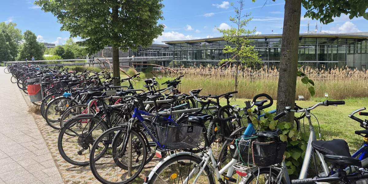 Auf dem Bild sind ganz viele Fahrräder an Fahrradständern und im Hintergrund sieht man auf grüne Fläche und das Gebäude der OTH Regensburg.