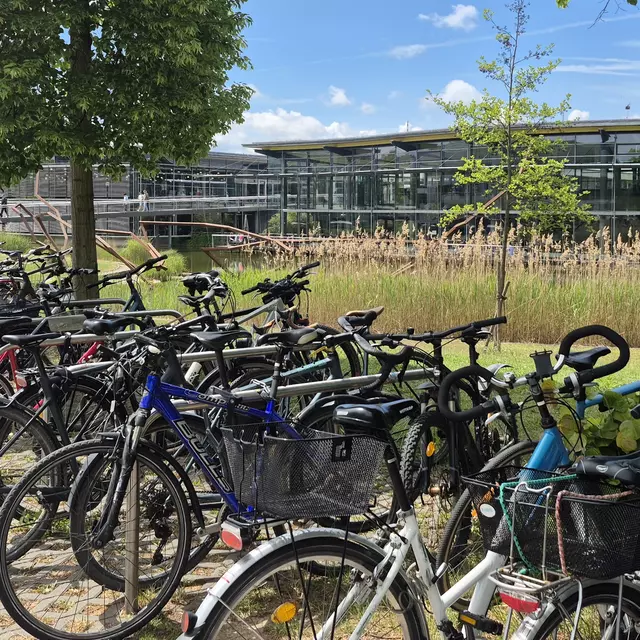 Auf dem Bild sind ganz viele Fahrräder an Fahrradständern und im Hintergrund sieht man auf grüne Fläche und das Gebäude der OTH Regensburg.