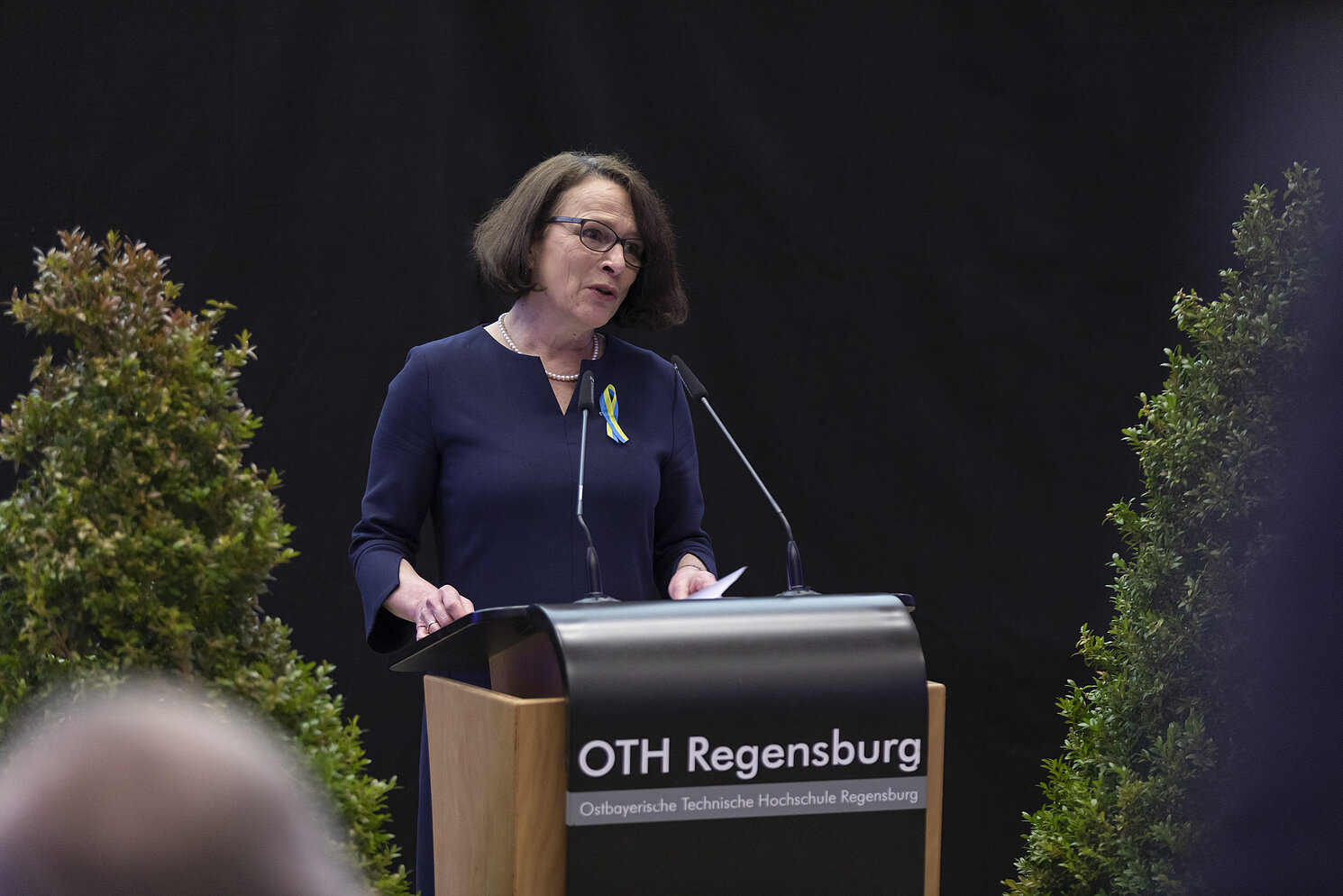 Oberbürgermeisterin Gertrud Maltz-Schwarzfischer zu Prof. Baier: "Sie haben große Spuren in Regensburg hinterlassen."