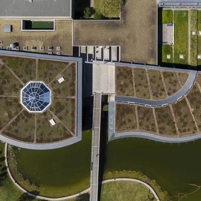 Blick auf den Campus aus der Luft