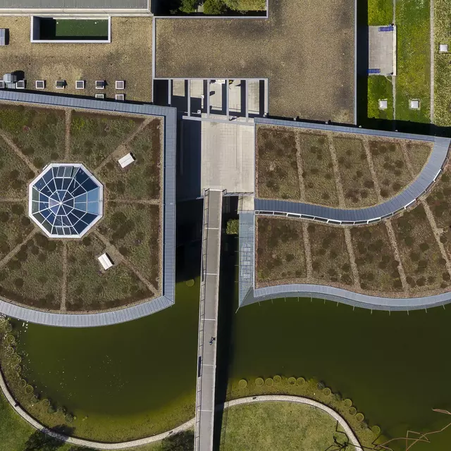 Blick auf den Campus aus der Luft