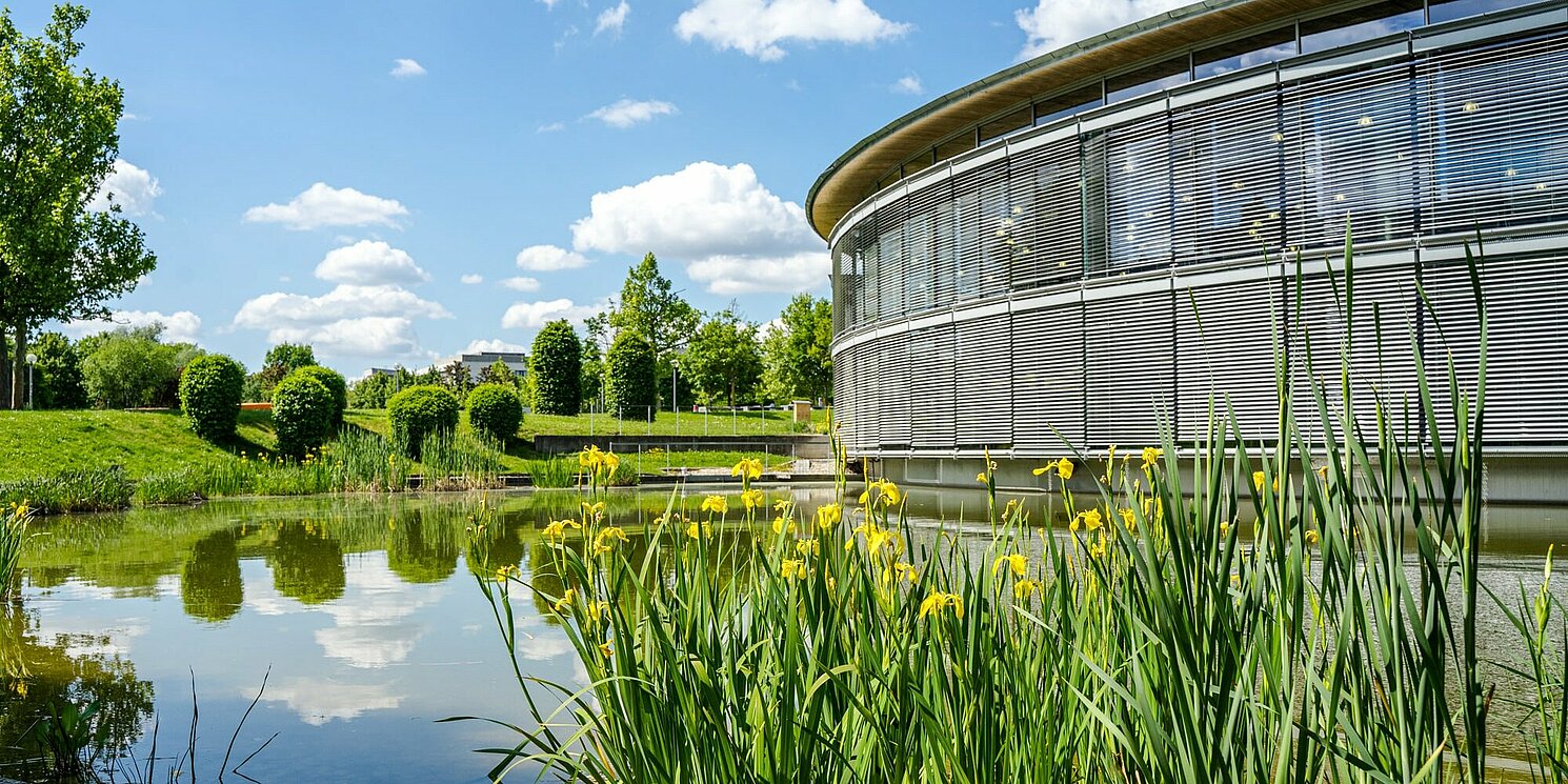 Blumen am See mit Blick auf die Bibliothek der OTH Regensburg