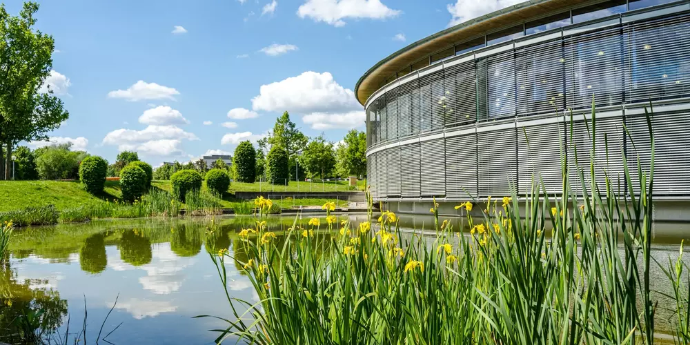 Blumen am See mit Blick auf die Bibliothek der OTH Regensburg