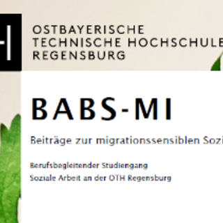 In der Zeitschrift BABS-MI ist der vollständige Artikel zum Projekt erschienen. Bildquelle: Mostafa Agami, unsplash