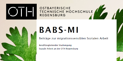 In der Zeitschrift BABS-MI ist der vollständige Artikel zum Projekt erschienen. Bildquelle: Mostafa Agami, unsplash