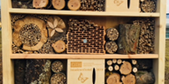 Insektenhotel auf dem Campus. Foto: Petra Faldum