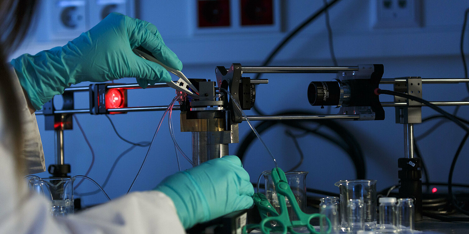 Umweltsensorik Experiment mit Handschuhen