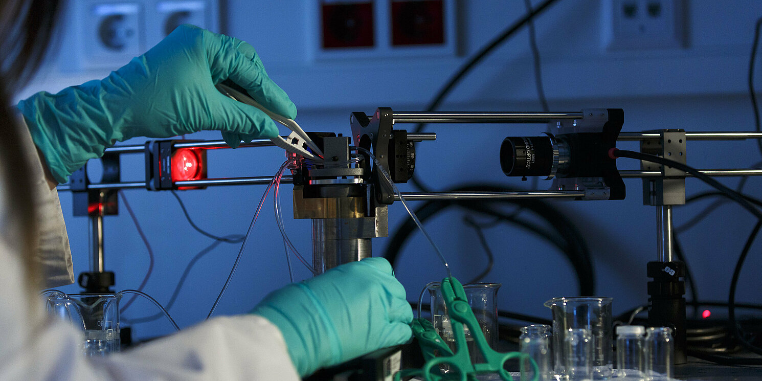 Umweltsensorik Experiment mit Handschuhen
