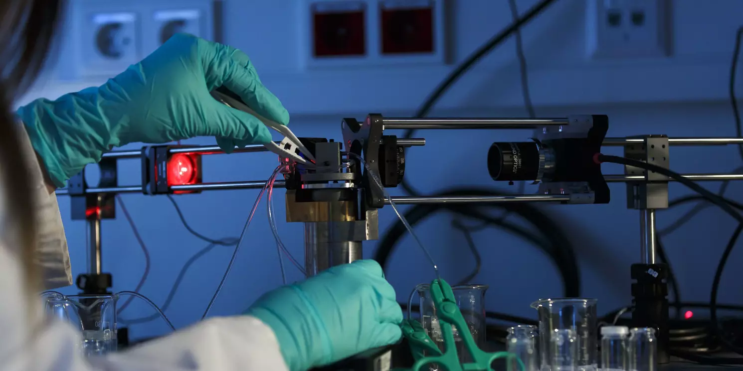 Umweltsensorik Experiment mit Handschuhen