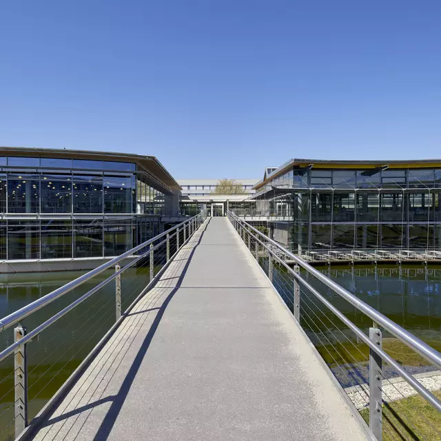 Brücke über den See am Campus der OTH Regensburg