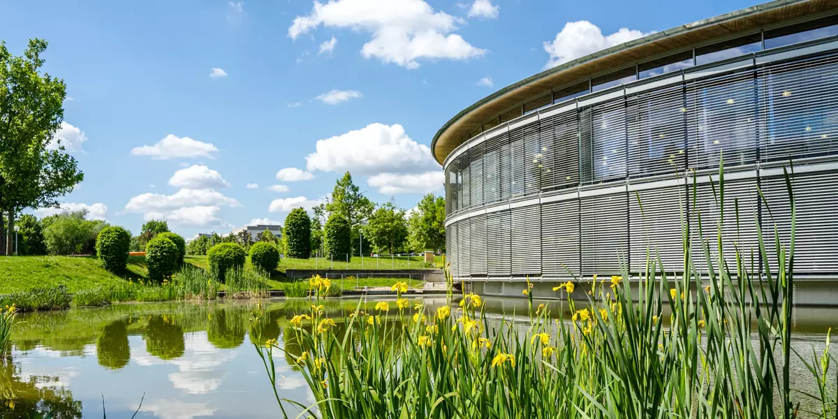 Blumen am See mit blauem Himmel und Fassade