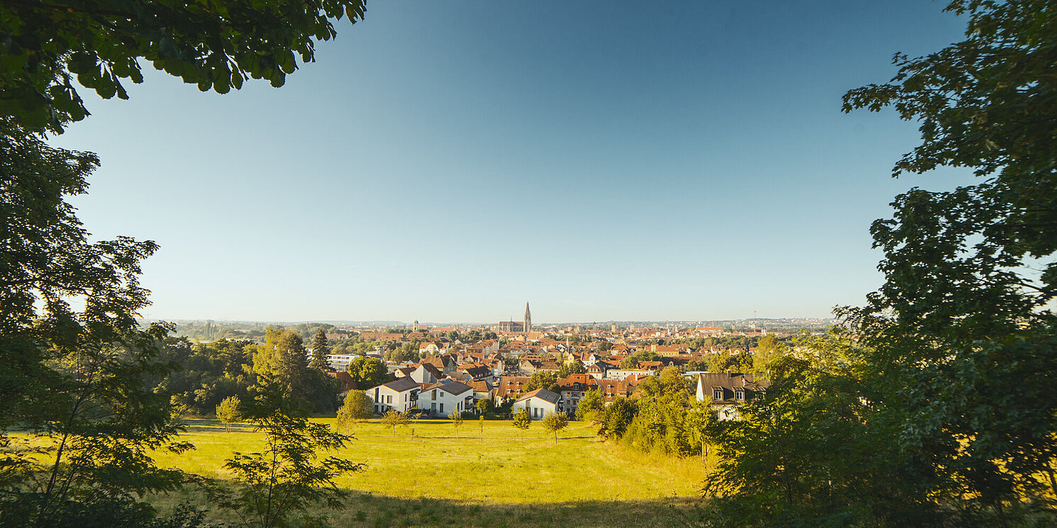 Blick von weitem auf die Stadt Regensburg. Im Vordergrund befindet sich eine grüne Wiese. Der Dom ist klein in der Bildmitte zu sehen. 