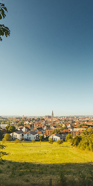 Blick von weitem auf die Stadt Regensburg. Im Vordergrund befindet sich eine grüne Wiese. Der Dom ist klein in der Bildmitte zu sehen. 