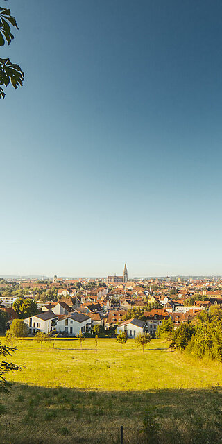 Blick von weitem auf die Stadt Regensburg. Im Vordergrund befindet sich eine grüne Wiese. Der Dom ist klein in der Bildmitte zu sehen. 