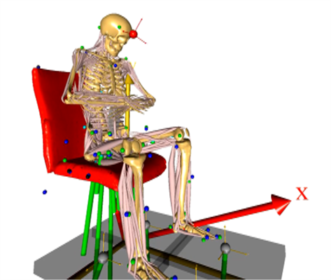 Die Berechnung der Belastungen der Wirbelsäule erfolgte über virtuelle Menschmodelle.